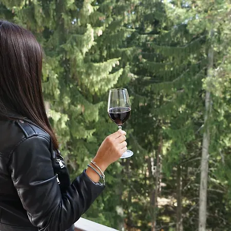 Lejlighedshotel за гости евелин Pamporovo